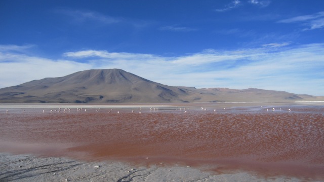 Lagauna Colorada, one of the many bizarre stops on the way to the Salt Flats.  The flamingo feed on the lake’s micro algae living in the water, which gives the lake its red color.